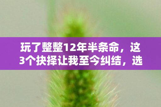 玩了整整12年半条命，这3个抉择让我至今纠结，选错真会毁存档？