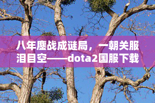 八年鏖战成谜局,一朝关服泪目空——dota2国服下载终成绝响 八年鏖战成谜局,一朝关服泪目空——dota2国服下载终成绝响