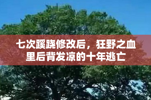 七次蹊跷修改后,狂野之血里后背发凉的十年逃亡 七次蹊跷修改后,狂野之血里后背发凉的十年逃亡