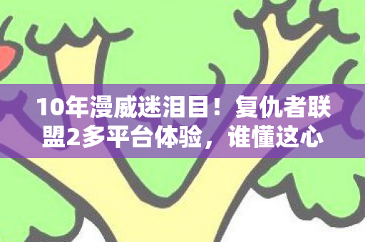 10年漫威迷泪目!复仇者联盟2多平台体验,谁懂这心酸? 10年漫威迷泪目!复仇者联盟2多平台体验,谁懂这心酸?
