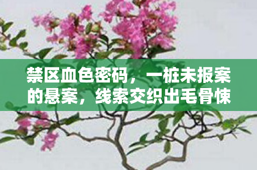 禁区血色密码,一桩未报案的悬案,线索交织出毛骨悚然的真相 禁区血色密码,一桩未报案的悬案,线索交织出毛骨悚然的真相