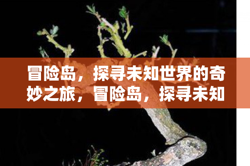 探寻未知世界的奇妙之旅图片