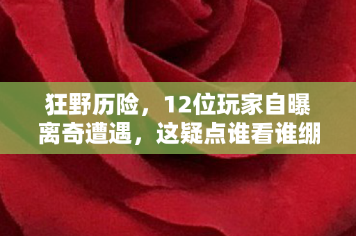狂野历险,12位玩家自曝离奇遭遇,这疑点谁看谁绷不住! 狂野历险,12位玩家自曝离奇遭遇,这疑点谁看谁绷不住!