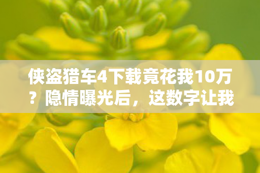侠盗猎车4下载竟花我10万?隐情曝光后,这数字让我吓一跳! 侠盗猎车4下载竟花我10万?隐情曝光后,这数字让我吓一跳!