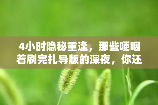 4小时隐秘重逢,那些哽咽着刷完扎导版的深夜,你还记得吗? 4小时隐秘重逢,那些哽咽着刷完扎导版的深夜,你还记得吗?