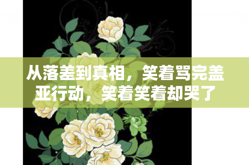 从落差到真相,笑着骂完盖亚行动,笑着笑着却哭了 从落差到真相,笑着骂完盖亚行动,笑着笑着却哭了