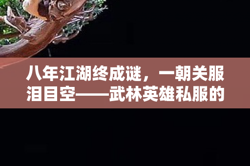 八年江湖终成谜，一朝关服泪目空——武林英雄私服的消逝之殇