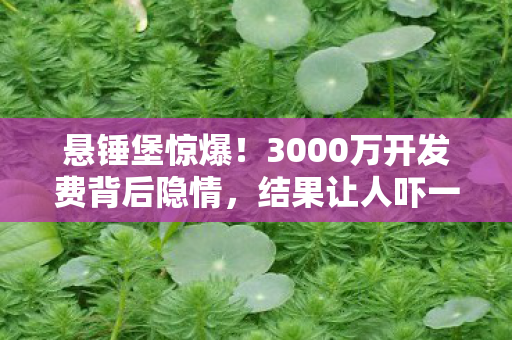 悬锤堡惊爆！3000万开发费背后隐情，结果让人吓一跳！