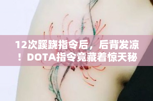 12次蹊跷指令后，后背发凉！DOTA指令竟藏着惊天秘密？