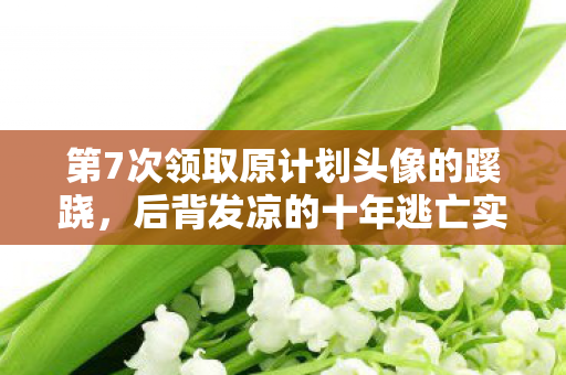 第7次领取原计划头像的蹊跷，后背发凉的十年逃亡实录