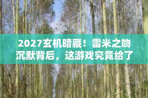 2027玄机暗藏!雷米之吻沉默背后,这游戏究竟给了我什么? 2027玄机暗藏!雷米之吻沉默背后,这游戏究竟给了我什么?