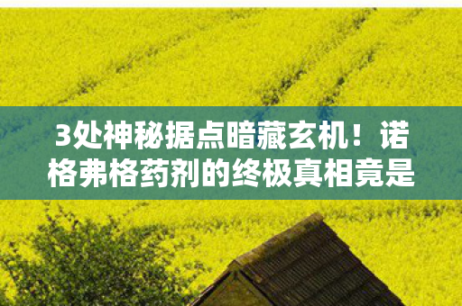 3处神秘据点暗藏玄机!诺格弗格药剂的终极真相竟是…… 3处神秘据点暗藏玄机!诺格弗格药剂的终极真相竟是……