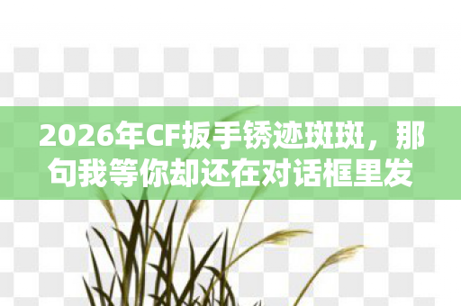2026年CF扳手锈迹斑斑，那句我等你却还在对话框里发烫