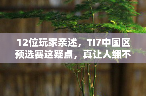 12位玩家亲述,TI7中国区预选赛这疑点,真让人绷不住! 12位玩家亲述,TI7中国区预选赛这疑点,真让人绷不住!