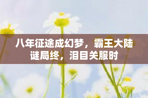 八年征途成幻梦,霸王大陆谜局终,泪目关服时 八年征途成幻梦,霸王大陆谜局终,泪目关服时