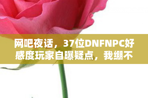 网吧夜话,37位DNFNPC好感度玩家自曝疑点,我绷不住了! 网吧夜话,37位DNFNPC好感度玩家自曝疑点,我绷不住了!