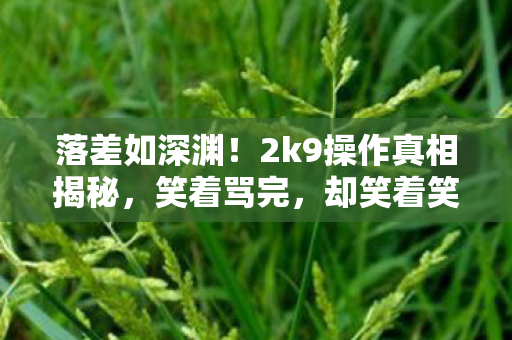 落差如深渊！2k9操作真相揭秘，笑着骂完，却笑着笑着哭了