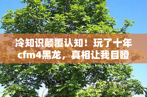 冷知识颠覆认知!玩了十年cfm4黑龙,真相让我目瞪口呆! 冷知识颠覆认知!玩了十年cfm4黑龙,真相让我目瞪口呆!