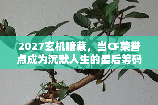 2027玄机暗藏,当CF荣誉点成为沉默人生的最后筹码 2027玄机暗藏,当CF荣誉点成为沉默人生的最后筹码