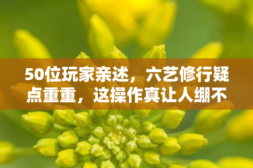 50位玩家亲述,六艺修行疑点重重,这操作真让人绷不住! 50位玩家亲述,六艺修行疑点重重,这操作真让人绷不住!