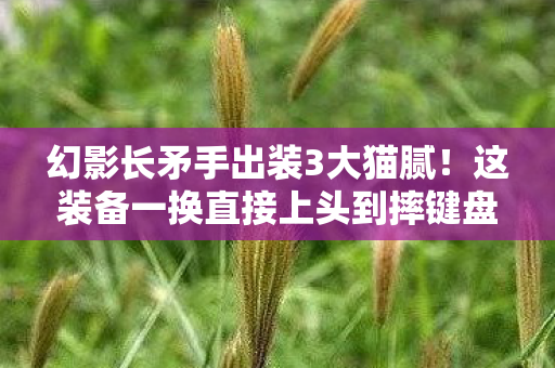 幻影长矛手出装3大猫腻!这装备一换直接上头到摔键盘 幻影长矛手出装3大猫腻!这装备一换直接上头到摔键盘