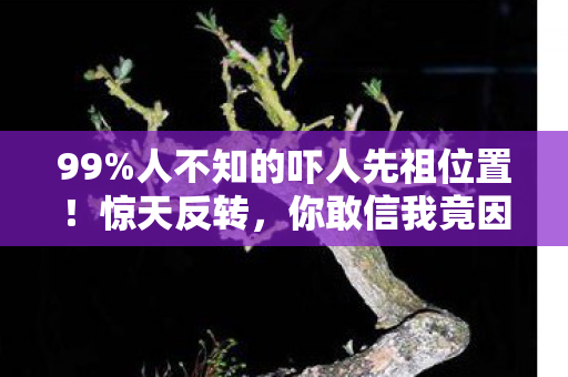99%人不知的吓人先祖位置！惊天反转，你敢信我竟因此回坑？