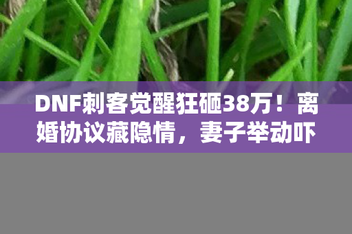DNF刺客觉醒狂砸38万！离婚协议藏隐情，妻子举动吓我一跳！