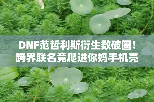 DNF范哲利斯衍生数破圈！跨界联名竟爬进你妈手机壳，意想不到！