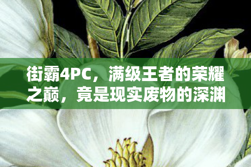 街霸4PC,满级王者的荣耀之巅,竟是现实废物的深渊之底,灵魂震颤! 街霸4PC,满级王者的荣耀之巅,竟是现实废物的深渊之底,灵魂震颤!