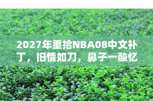 2027年重拾NBA08中文补丁,旧情如刀,鼻子一酸忆往昔 2027年重拾NBA08中文补丁,旧情如刀,鼻子一酸忆往昔