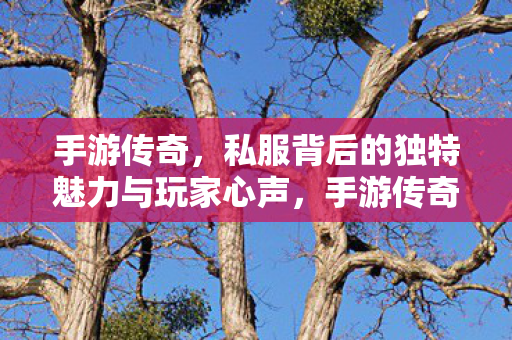 手游传奇,私服背后的独特魅力与玩家心声,手游传奇,私服背后的独特魅力与玩家心声揭秘 手游传奇,私服背后的独特魅力与玩家心声,手游传奇,私服背后的独特魅力与玩家心声揭秘