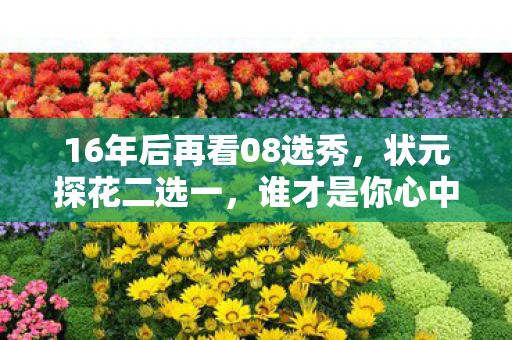 16年后再看08选秀,状元探花二选一,谁才是你心中的终极答案? 16年后再看08选秀,状元探花二选一,谁才是你心中的终极答案?