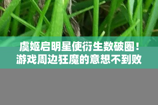 虞姬启明星使衍生数破圈!游戏周边狂魔的意想不到败家人生 虞姬启明星使衍生数破圈!游戏周边狂魔的意想不到败家人生