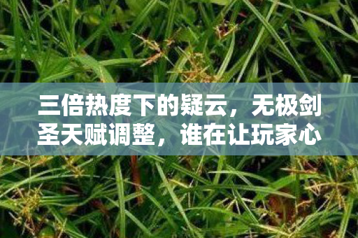三倍热度下的疑云,无极剑圣天赋调整,谁在让玩家心寒? 三倍热度下的疑云,无极剑圣天赋调整,谁在让玩家心寒?