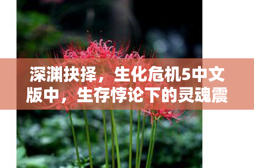 深渊抉择,生化危机5中文版中,生存悖论下的灵魂震颤层级 深渊抉择,生化危机5中文版中,生存悖论下的灵魂震颤层级