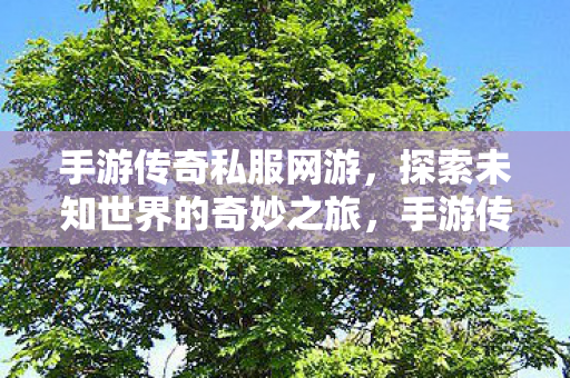 手游传奇私服网游,探索未知世界的奇妙之旅,手游传奇私服网游,开启探索未知世界的奇妙之旅 手游传奇私服网游,探索未知世界的奇妙之旅,手游传奇私服网游,开启探索未知世界的奇妙之旅