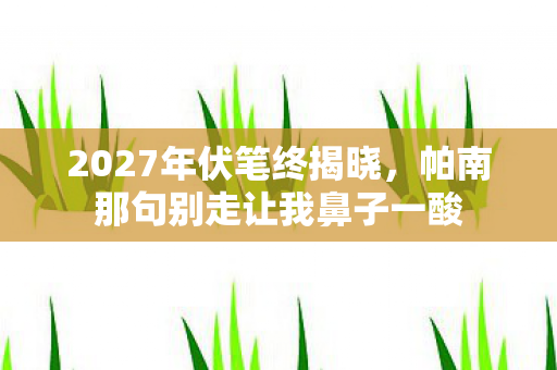 2027年伏笔终揭晓,帕南那句别走让我鼻子一酸 2027年伏笔终揭晓,帕南那句别走让我鼻子一酸