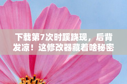 下载第7次时蹊跷现,后背发凉!这修改器藏着啥秘密? 下载第7次时蹊跷现,后背发凉!这修改器藏着啥秘密?