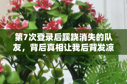 第7次登录后蹊跷消失的队友图片