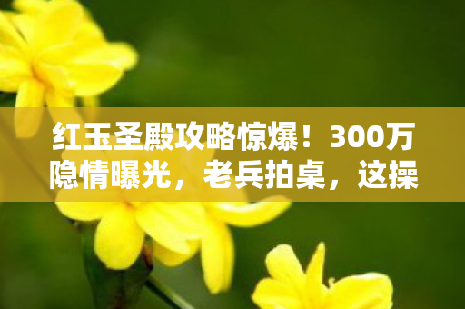 红玉圣殿攻略惊爆!300万隐情曝光,老兵拍桌,这操作真让人吓一跳! 红玉圣殿攻略惊爆!300万隐情曝光,老兵拍桌,这操作真让人吓一跳!