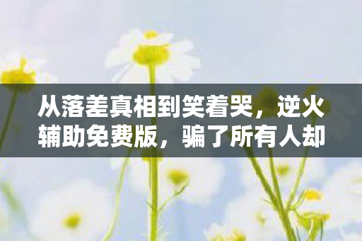 从落差真相到笑着哭,逆火辅助免费版,骗了所有人却骗不了我 从落差真相到笑着哭,逆火辅助免费版,骗了所有人却骗不了我