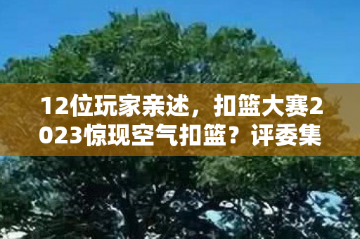 12位玩家亲述,扣篮大赛2023惊现空气扣篮?评委集体绷不住笑场! 12位玩家亲述,扣篮大赛2023惊现空气扣篮?评委集体绷不住笑场!