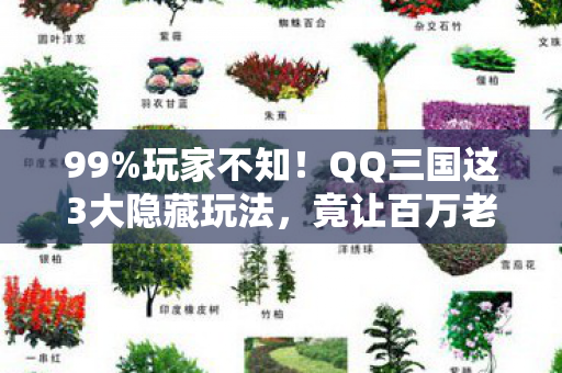 99%玩家不知!QQ三国这3大隐藏玩法,竟让百万老玩家集体破防? 99%玩家不知!QQ三国这3大隐藏玩法,竟让百万老玩家集体破防?