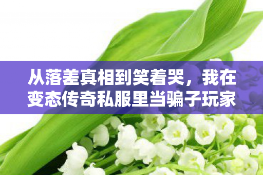 从落差真相到笑着哭,我在变态传奇私服里当骗子玩家的第N次轮回 从落差真相到笑着哭,我在变态传奇私服里当骗子玩家的第N次轮回