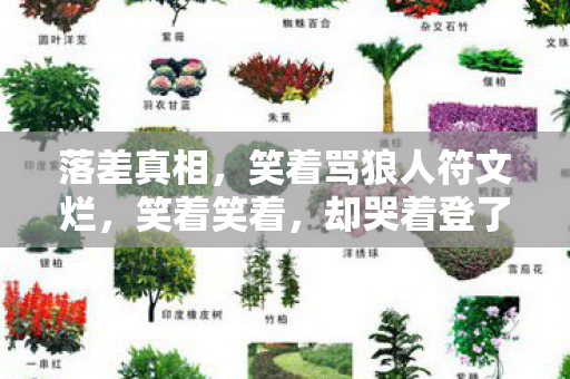 落差真相,笑着骂狼人符文烂,笑着笑着,却哭着登了号 落差真相,笑着骂狼人符文烂,笑着笑着,却哭着登了号