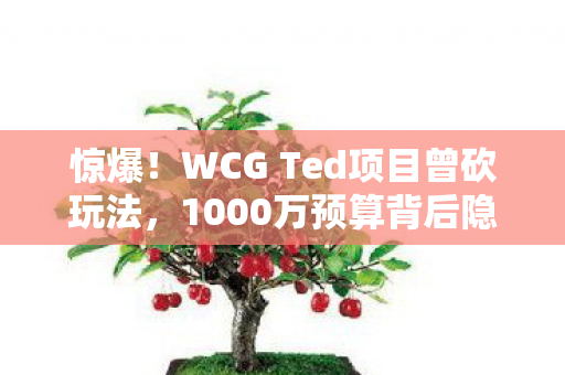 惊爆！WCG Ted项目曾砍玩法，1000万预算背后隐情让人吓一跳！