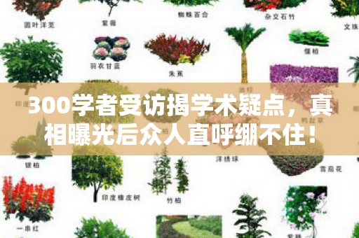 300学者受访揭学术疑点，真相曝光后众人直呼绷不住！