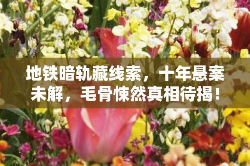 地铁暗轨藏线索,十年悬案未解,毛骨悚然真相待揭! 地铁暗轨藏线索,十年悬案未解,毛骨悚然真相待揭!