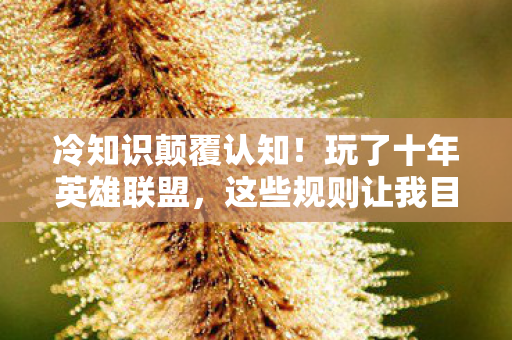 冷知识颠覆认知!玩了十年英雄联盟,这些规则让我目瞪口呆 冷知识颠覆认知!玩了十年英雄联盟,这些规则让我目瞪口呆