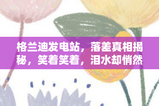 格兰迪发电站,落差真相揭秘,笑着笑着,泪水却悄然滑落 格兰迪发电站,落差真相揭秘,笑着笑着,泪水却悄然滑落